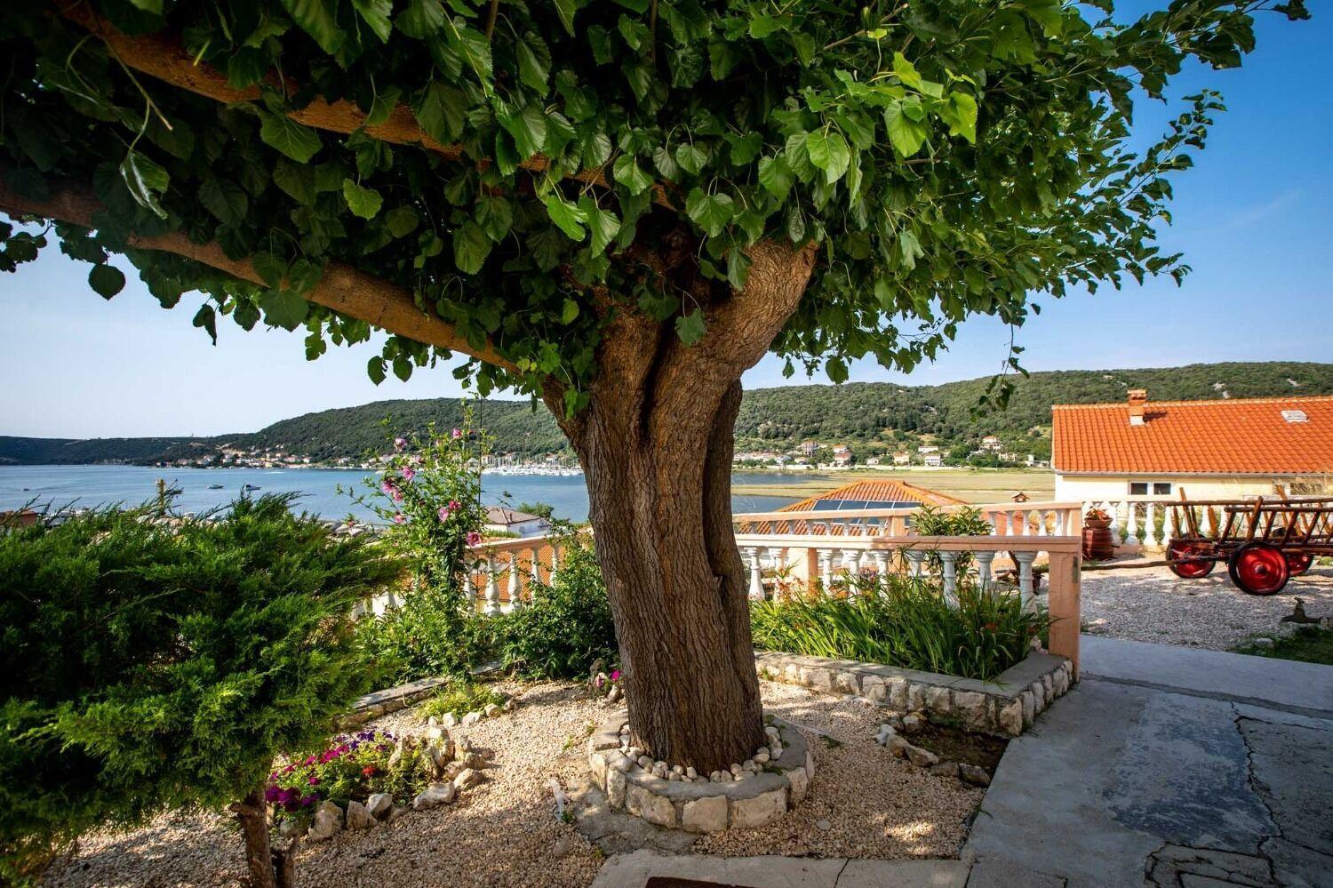 Apartments Marija Supetarska Draga Εξωτερικό φωτογραφία